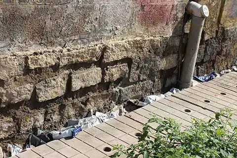 cleanliness